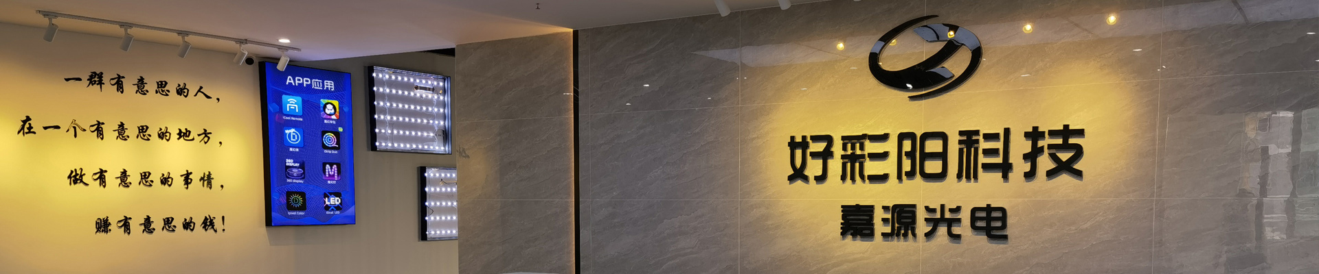 Welcome to Shenzhen Haseesun Technology Co., Ltd. website